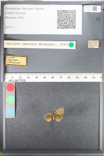 Media type: image;   Entomology 102609